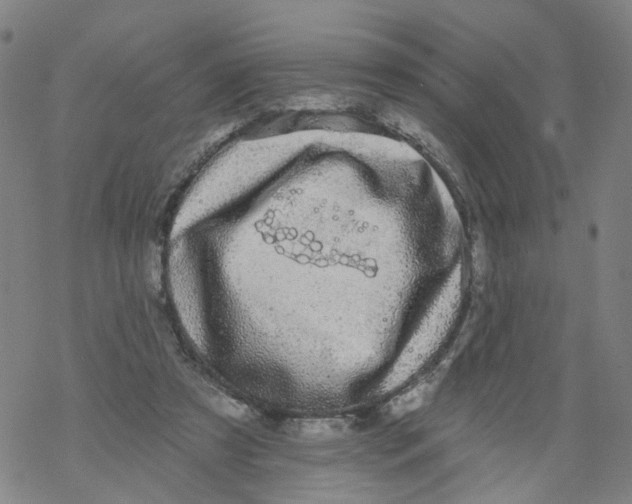 X0000068890305200605261852