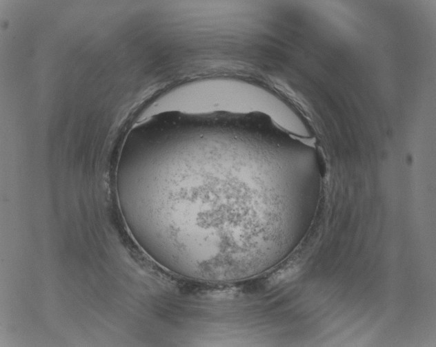 X0000068890306200605261852