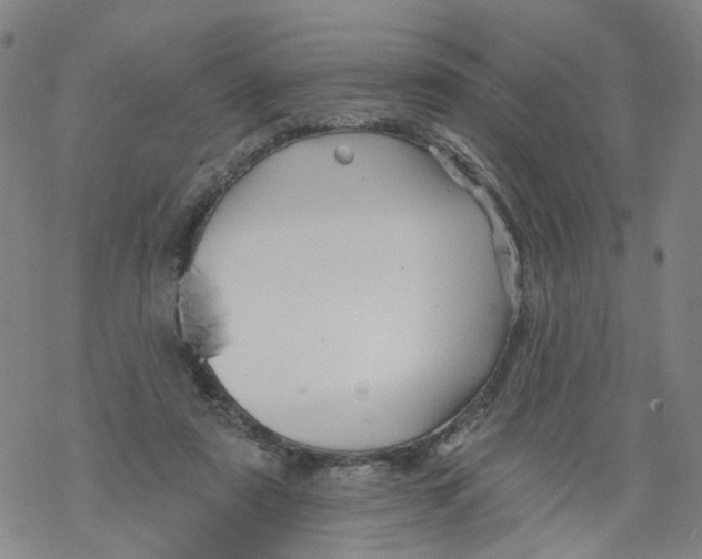 X0000068890307200605261852