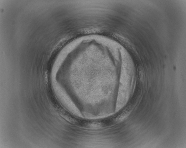 X0000068890308200605261852