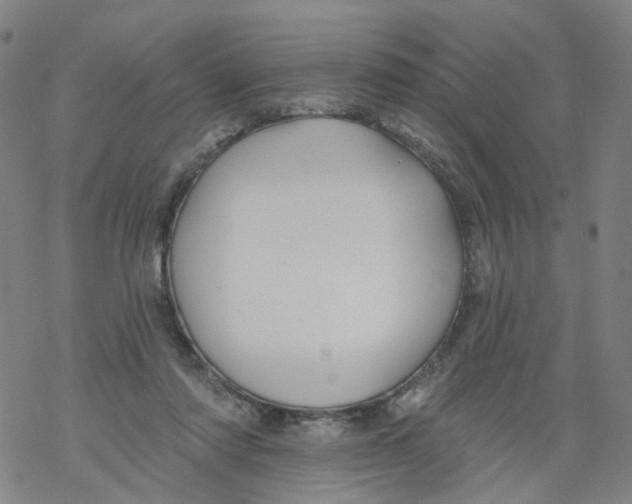 X0000068890310200605261852