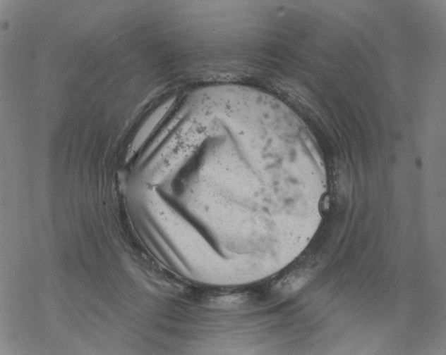 X0000068890312200605261852