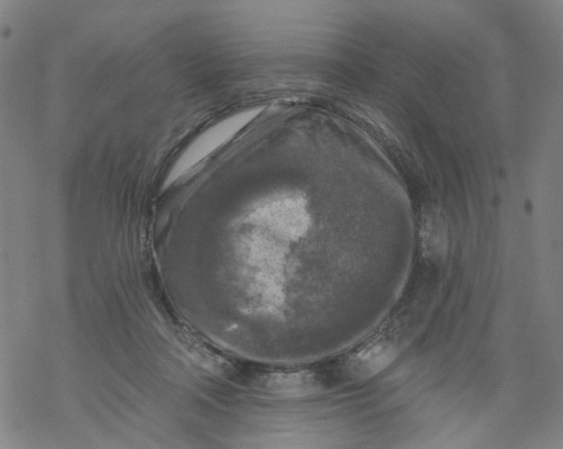 X0000068890314200605261852