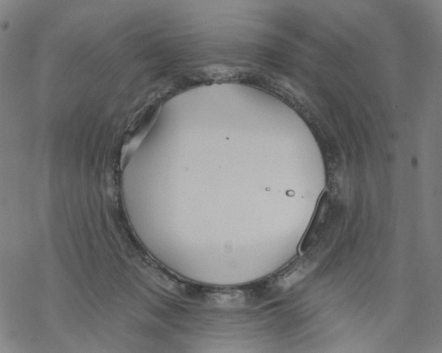 X0000068890317200605261852