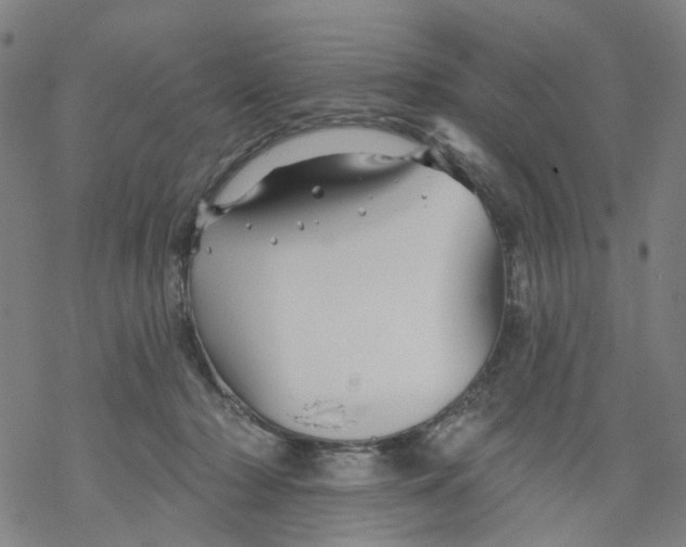 X0000068890318200605261852