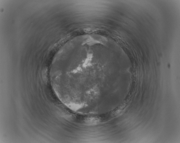 X0000068890319200605261852