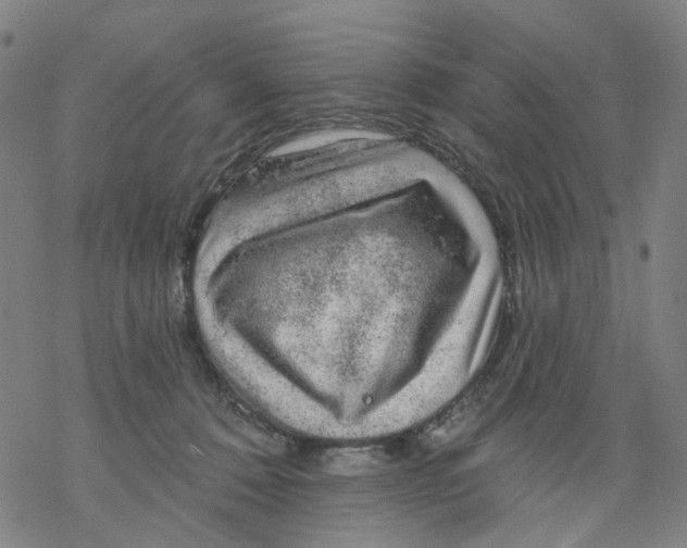 X0000068890320200605261852