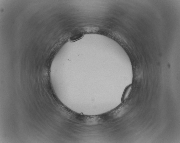 X0000068890321200605261852