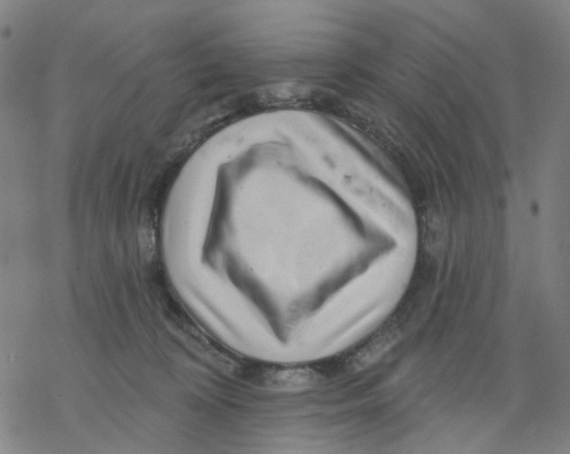 X0000068890324200605261852