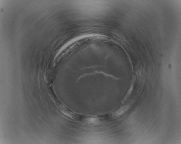 X0000068890325200605261852