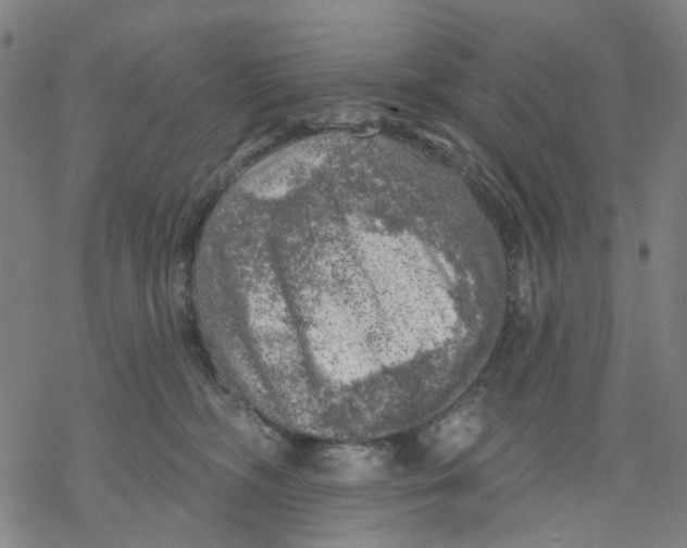 X0000068890326200605261852