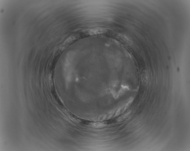 X0000068890327200605261852