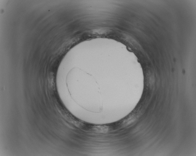 X0000068890328200605261852