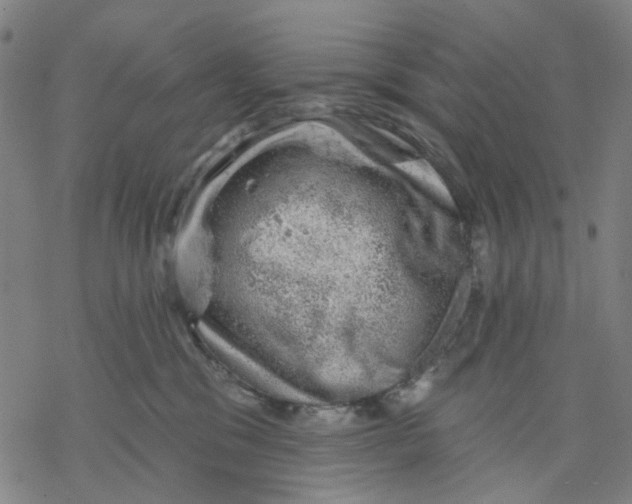 X0000068890329200605261852