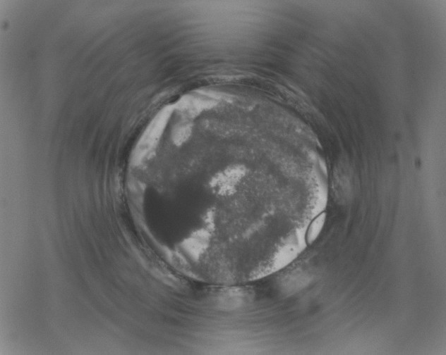 X0000068890330200605261852