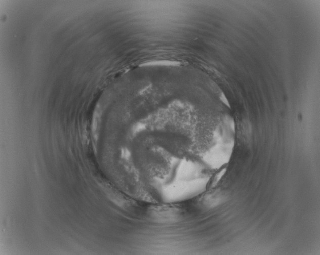 X0000068890331200605261852