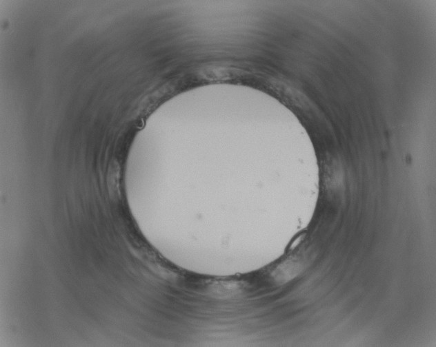 X0000068890332200605261852