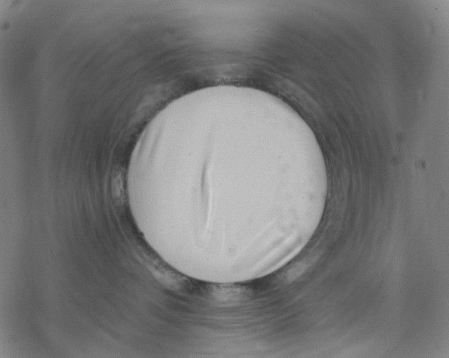 X0000068890336200605261852