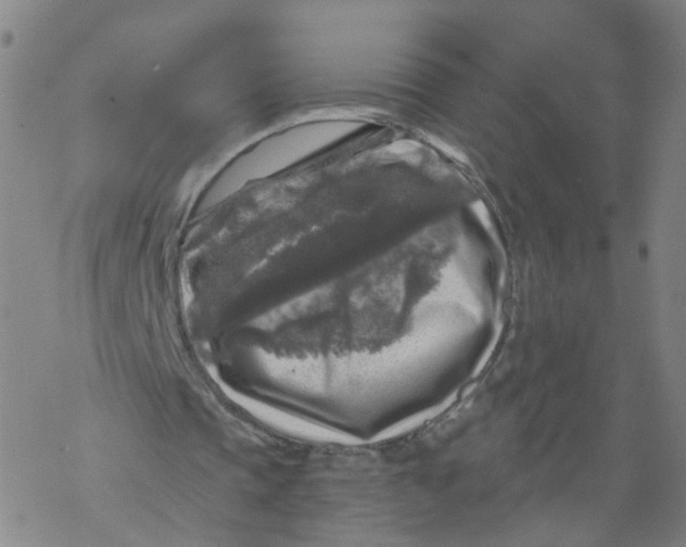 X0000068890337200605261851