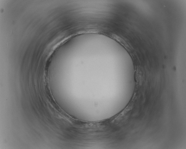 X0000068890338200605261851