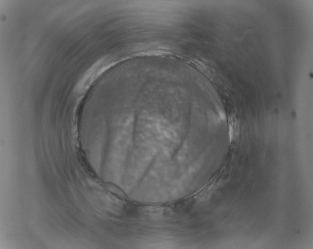 X0000068890339200605261851