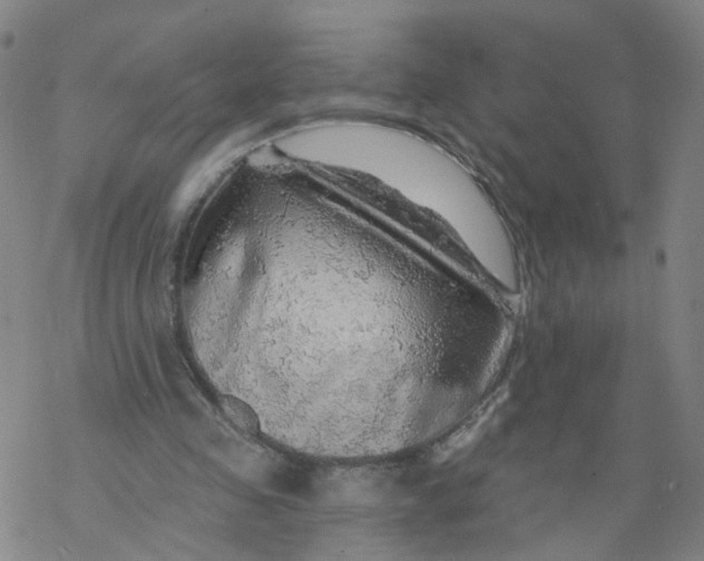 X0000068890341200605261851