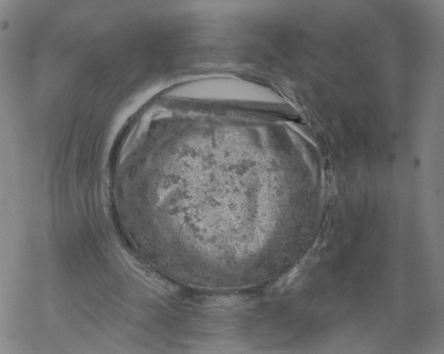 X0000068890342200605261851