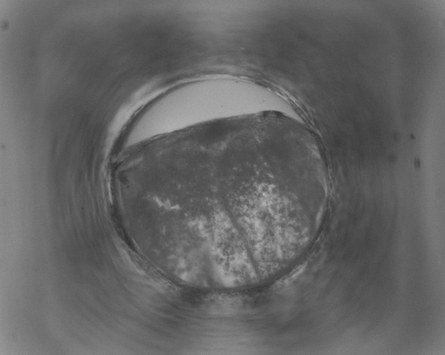 X0000068890343200605261851