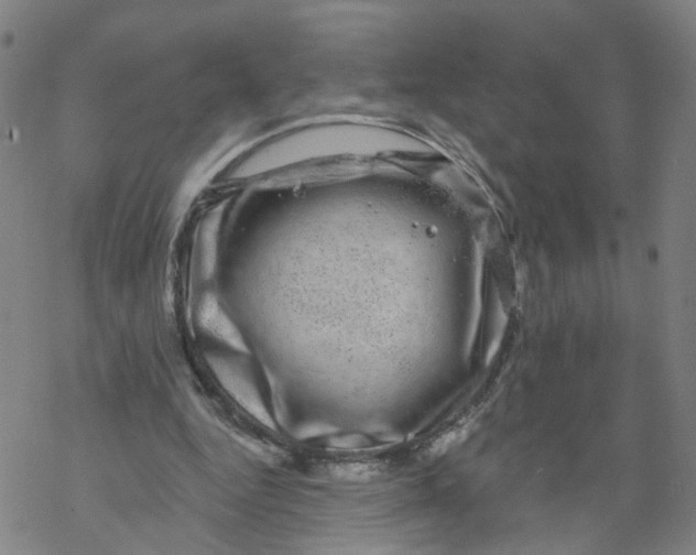 X0000068890344200605261851