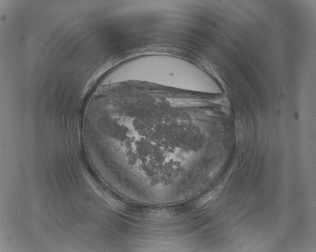 X0000068890349200605261851