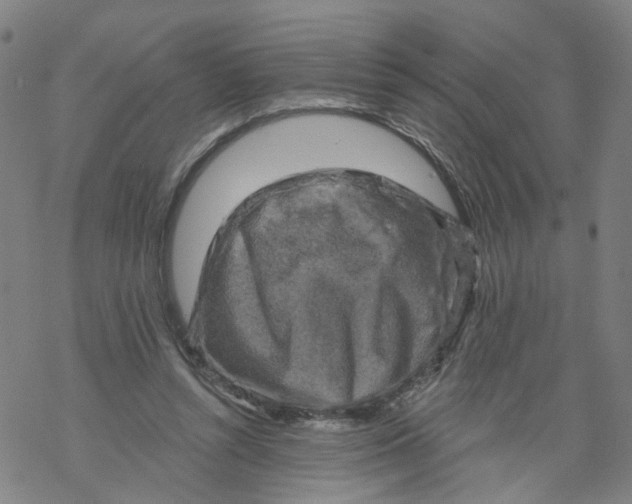 X0000068890352200605261851