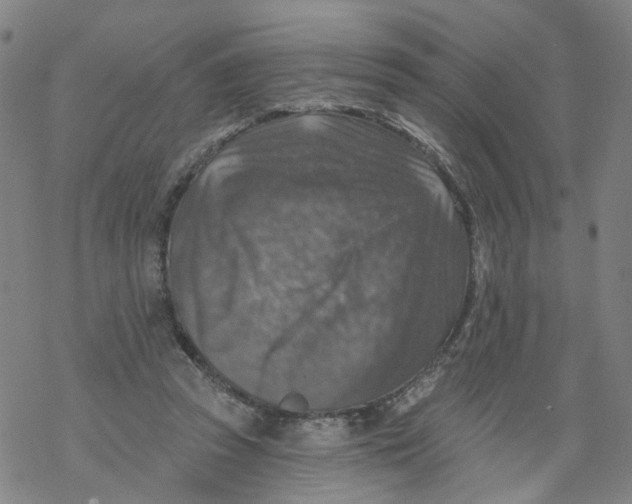 X0000068890353200605261851