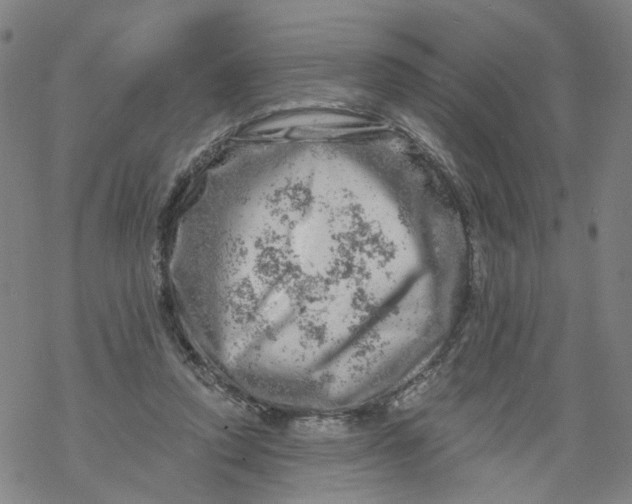 X0000068890354200605261851