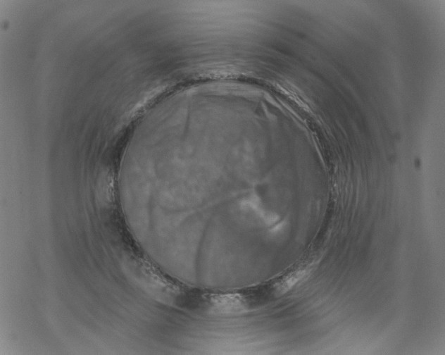 X0000068890355200605261851