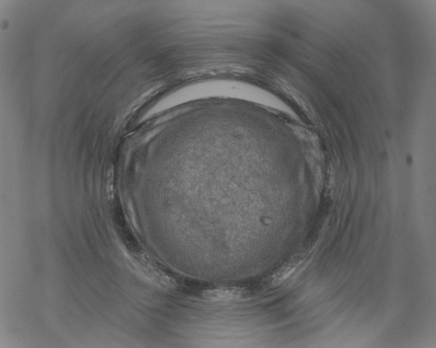 X0000068890356200605261851