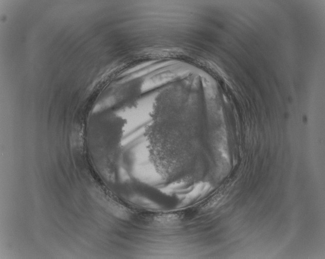 X0000068890357200605261851