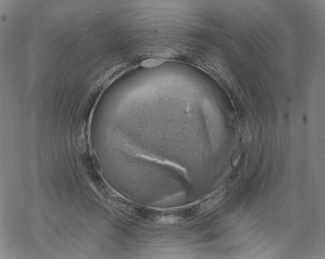 X0000068890360200605261851