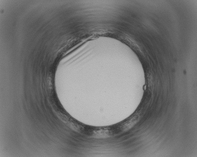 X0000068890362200605261851