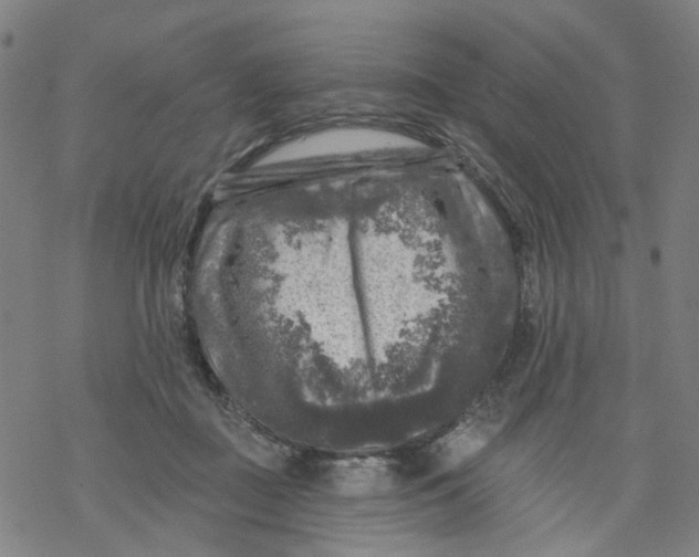 X0000068890363200605261851