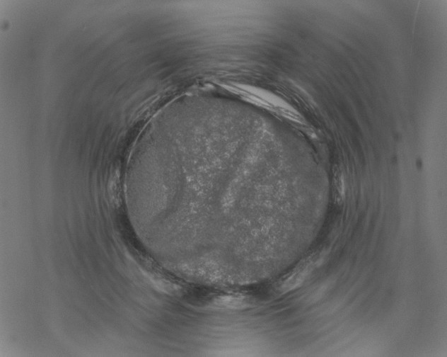 X0000068890364200605261852