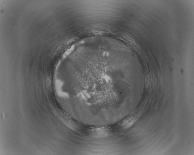 X0000068890365200605261852