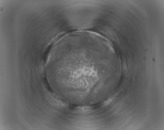 X0000068890367200605261852