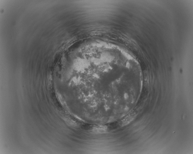 X0000068890369200605261852