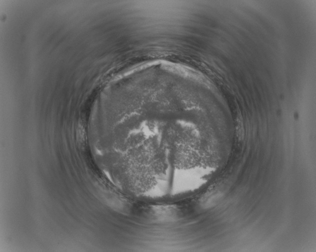 X0000068890371200605261852