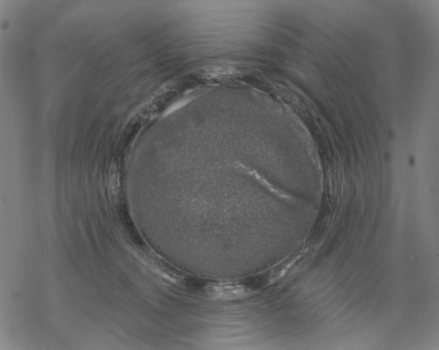 X0000068890372200605261852