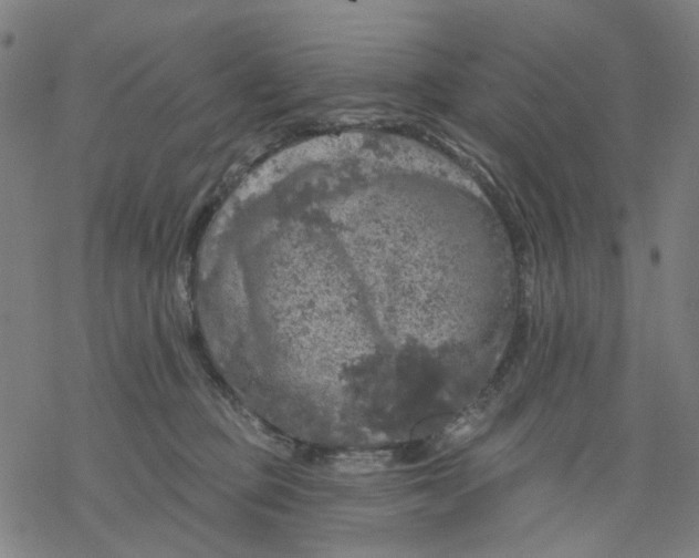 X0000068890373200605261852