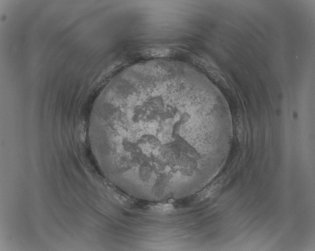 X0000068890374200605261852