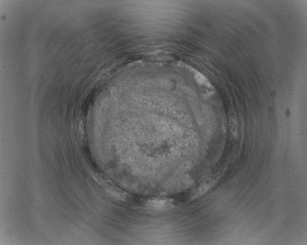 X0000068890375200605261852