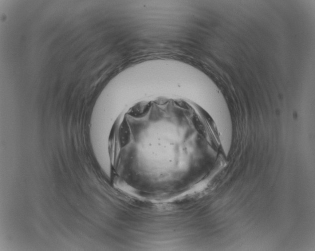 X0000068890376200605261852