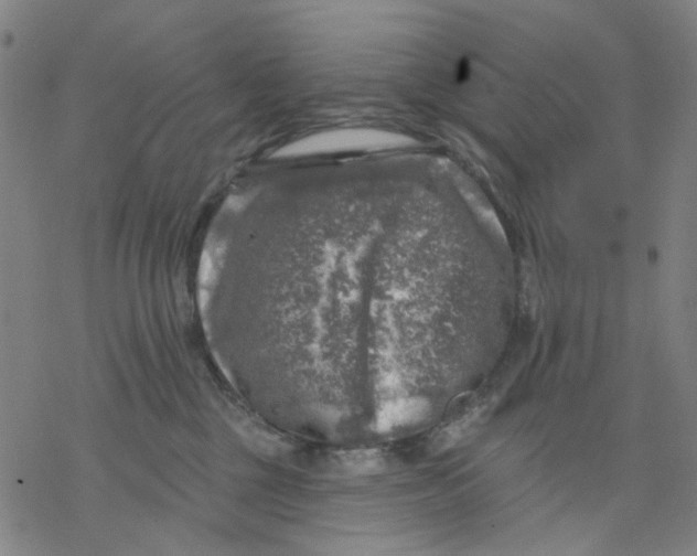 X0000068890377200605261852